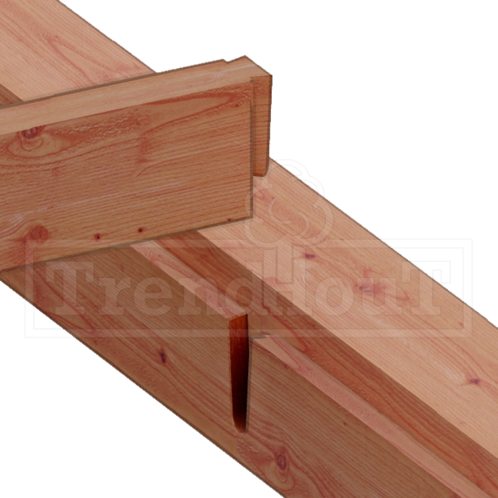 douglas-houten-overkapping-bouwpakket-palermo-XXL-modern-constructie-detail-zwaluwstaart