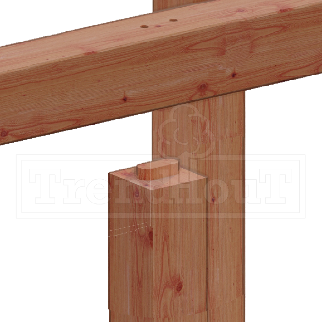 douglas-houten-overkapping-kapschuur-bouwpakket-de-hofstee-XXL-constructie-detail-verbinding
