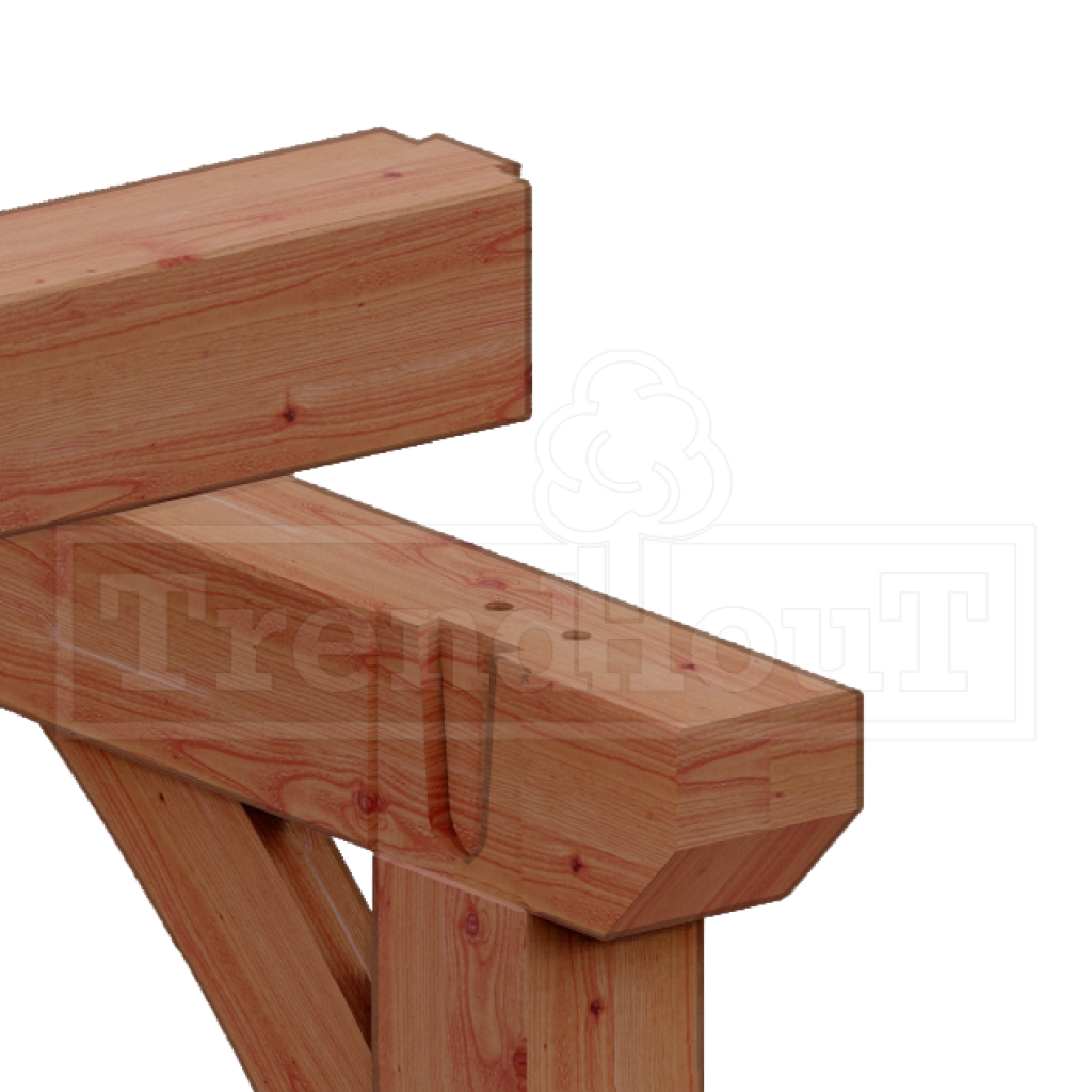 douglas-houten-overkapping-kapschuur-bouwpakket-de-hofstee-XXL-constructie-detail-zwaluwstaart