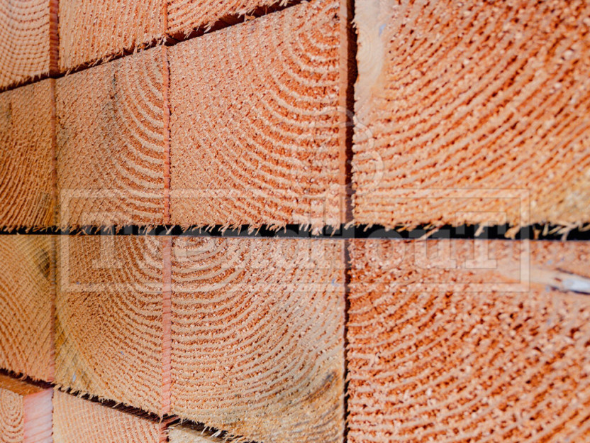 douglas-constructiehout-uitstekende-kwaliteit-4-ex-log-bestellen-als-houthandel-aannemer-houtbouwer-hovenier-tuinhout-van-Trendhout