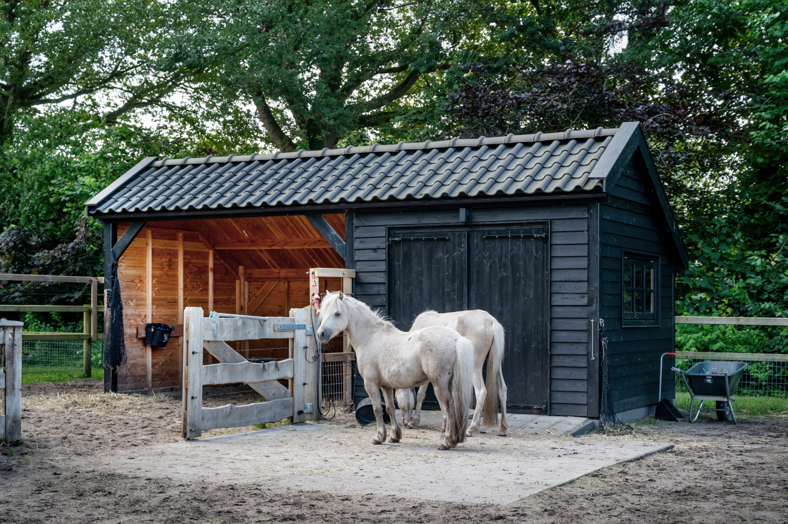 kapschuur-de-deel-met-douglas-constructie-in-kleur-gespoten-wanden-van-douglas-potdekselplanken-in-kleur-gespoten-douglas-opgeklampte-deur-dubbel-zwart-en-douglas-uitzetraam-zwart-met-open-stalruimte-en-paarden